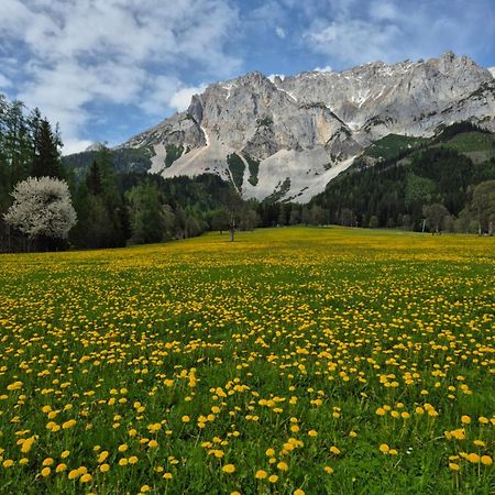 רמסאו אם דכשטיין Family Appartment - Dachstein View מראה חיצוני תמונה