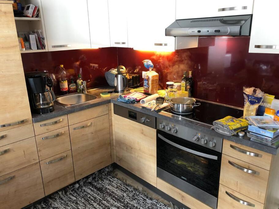 רמסאו אם דכשטיין Family Appartment - Dachstein View מראה חיצוני תמונה
