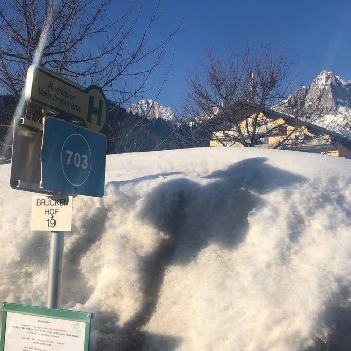 רמסאו אם דכשטיין Family Appartment - Dachstein View מראה חיצוני תמונה