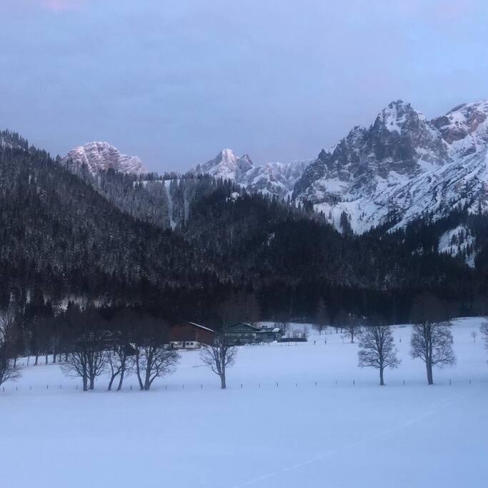 רמסאו אם דכשטיין Family Appartment - Dachstein View מראה חיצוני תמונה