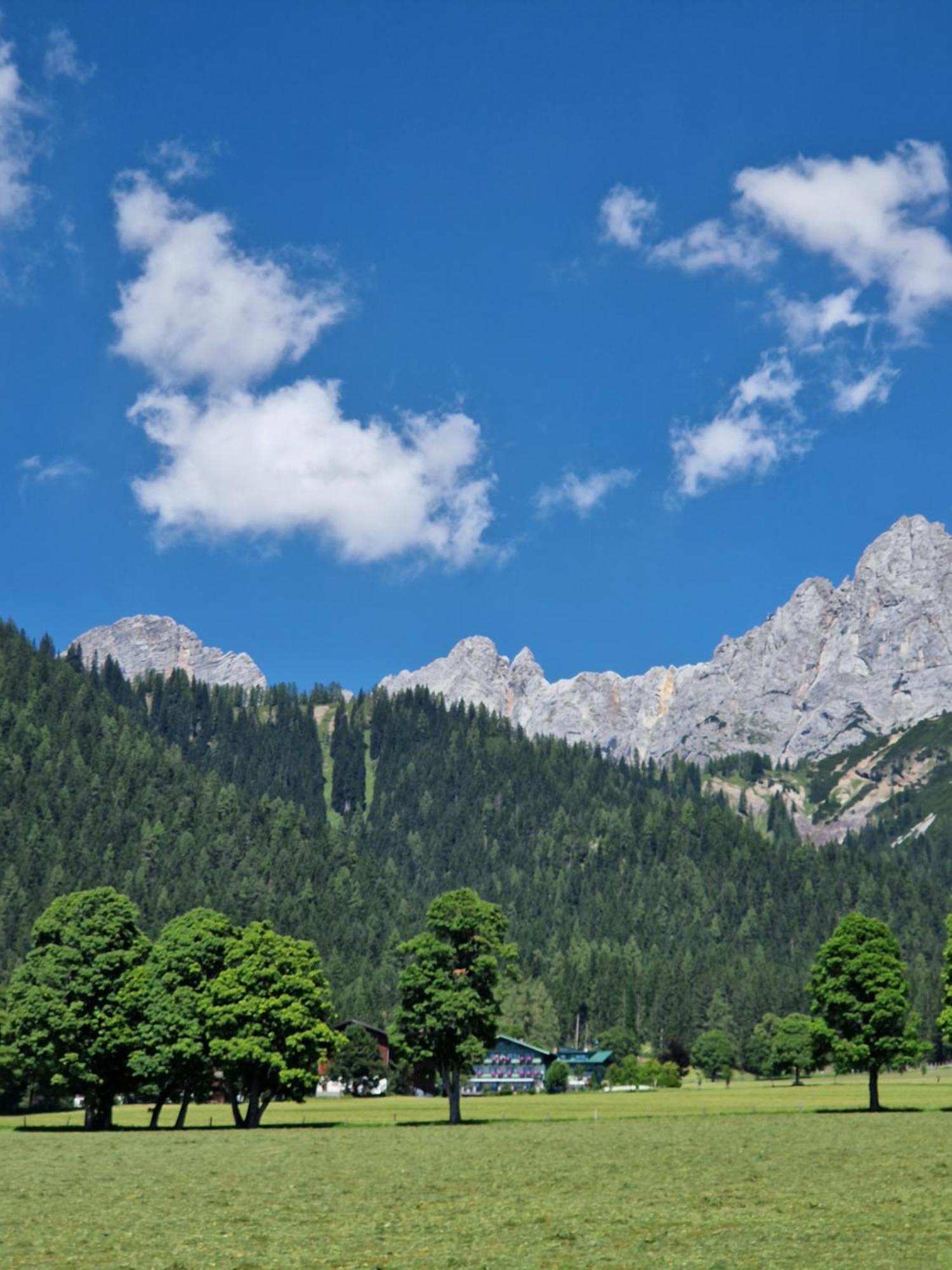 רמסאו אם דכשטיין Family Appartment - Dachstein View מראה חיצוני תמונה